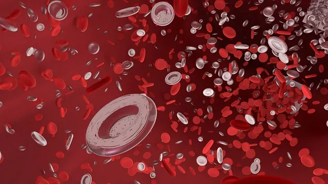 Produktion von Blutkörperchen