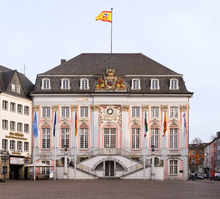 Eisbaden in Bonn