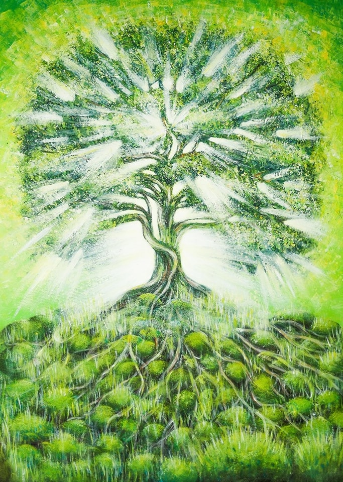 Baum mit Wurzeln und Licht